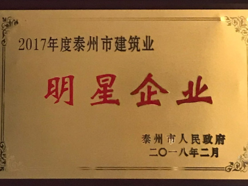 2017年泰州明星企業(yè)