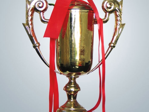 1998年獲江蘇省工程質(zhì)量揚(yáng)子杯獎(jiǎng)