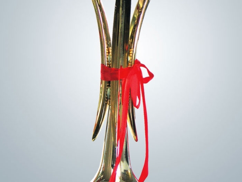 泰州市梅蘭杯獎(jiǎng)